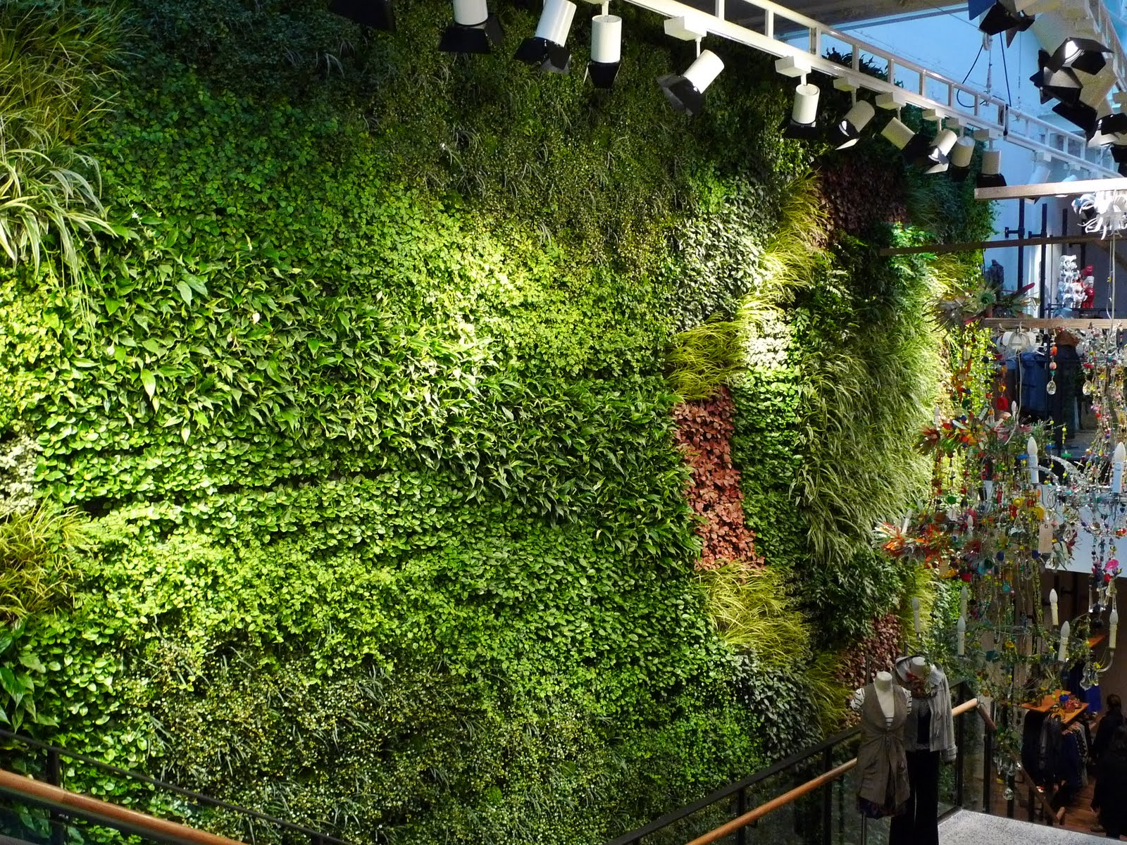 giải pháp vườn tường vườn đứng tường cây
