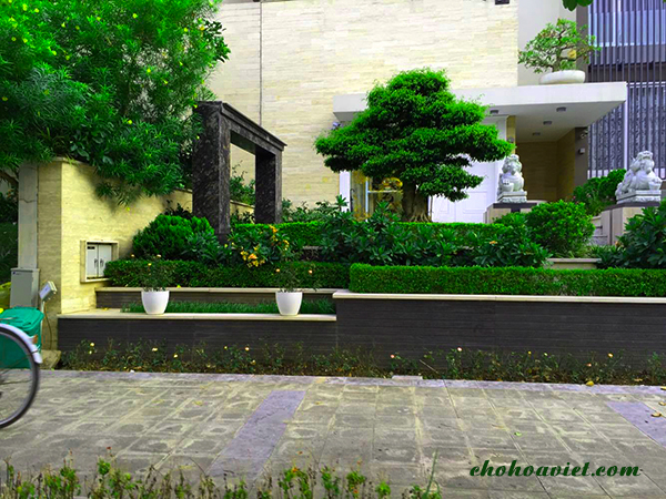 thiet-ke-san-vuon-4c