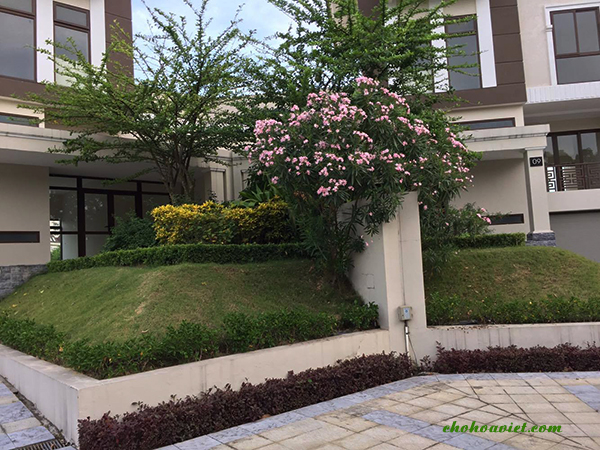 tieu-canh-san-vuon-truoc-nha-1a