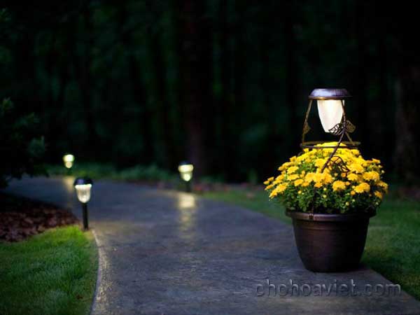 Đèn sân vườn3