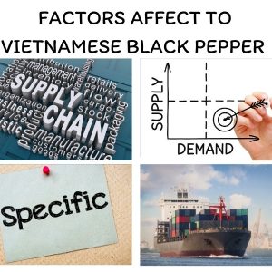vnese-black-pepper-9