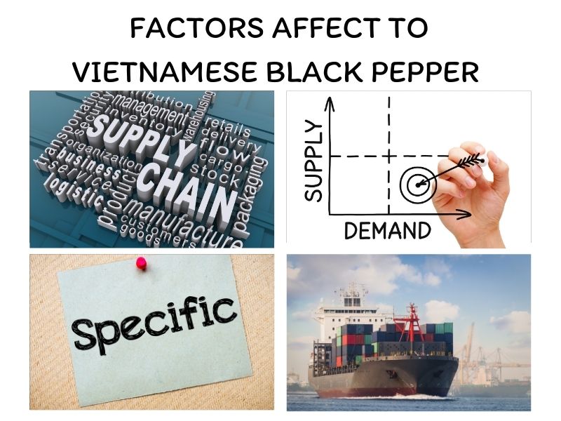Vietnamese Black Pepper And All Things You Should Know