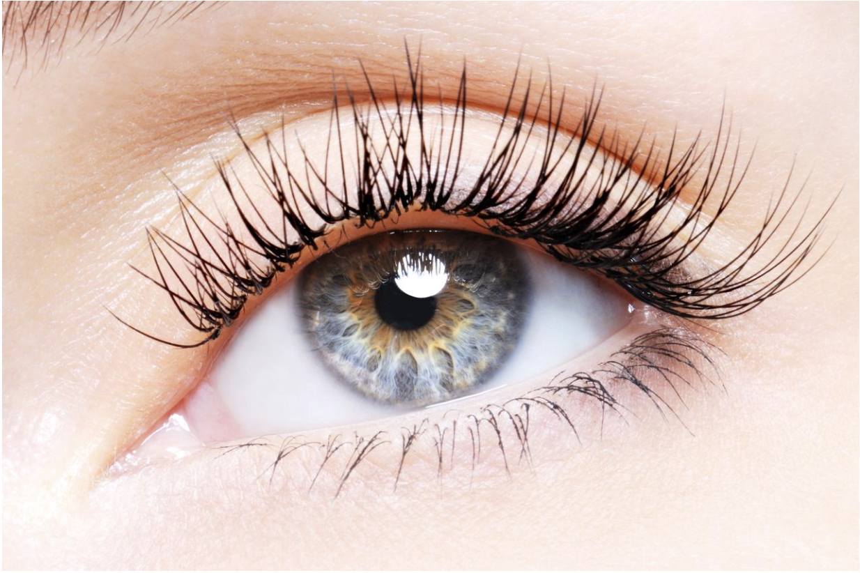 top-10-private-false-eyelash-wholesale-suppliers-for-your-business-2