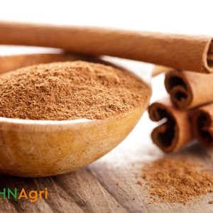 discover-the-hanoi-cinnamon-supplier-your-ultimate-wholesale-guide-1