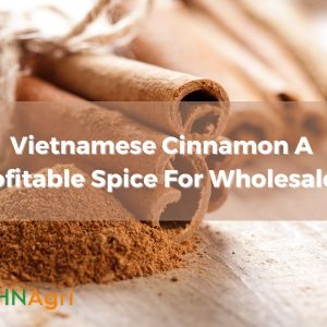 vietnamese-cinnamon-a-profitable-spice-for-wholesalers