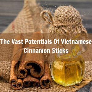 discover-the-great-potentials-of-vietnamese-cinnamon-oil