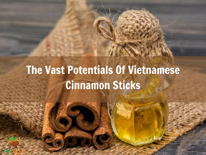 Discover The Great Potentials Of Vietnamese Cinnamon Oil