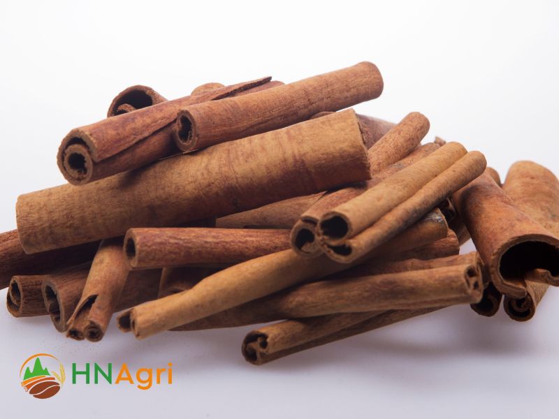 unveiling-the-spice-of-tradition-sourcing-vietnamese-cinnamon-in-bulk-3