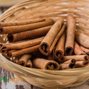 unveiling-the-spice-of-tradition-sourcing-vietnamese-cinnamon-in-bulk-1