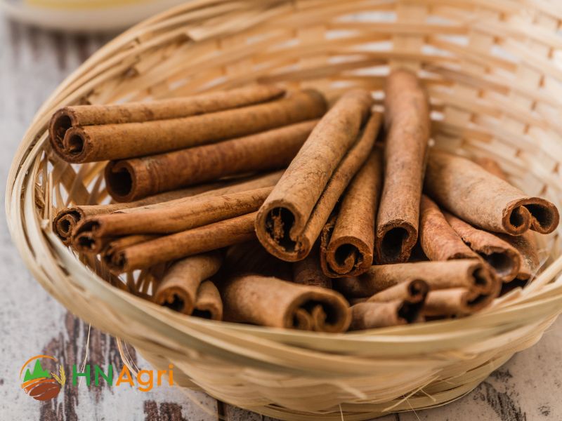 Unveiling the Spice of Tradition: Sourcing Vietnamese Cinnamon in Bulk